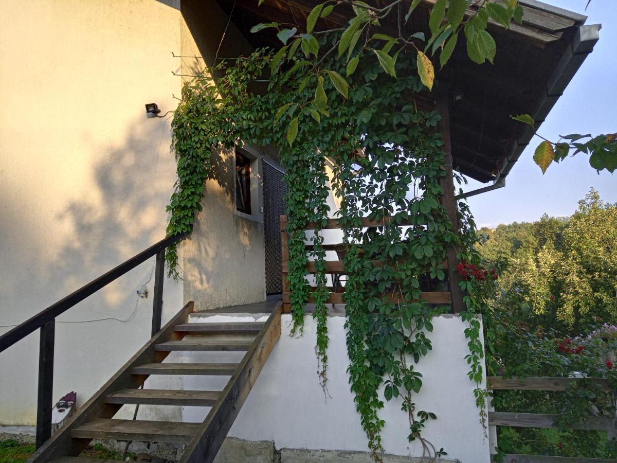 דובוי Country House Roman מראה חיצוני תמונה
